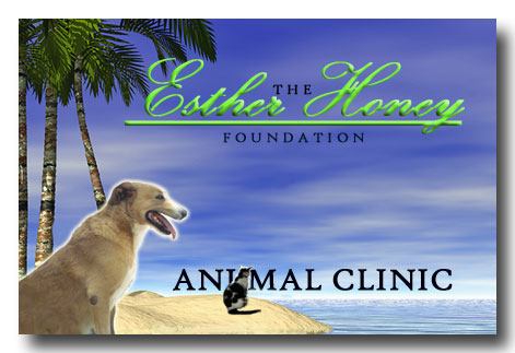 AMC Clinic sign
