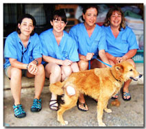 AMC team
