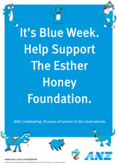 ANZ Blue Week VSM