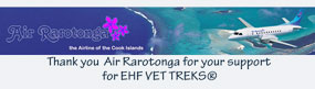 air raro logo