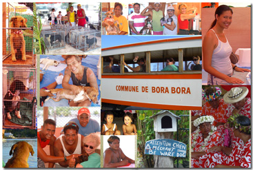 Bora volunteers collage