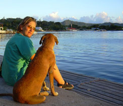 Ann-Mar dog