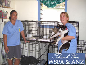 cages WSPA ANZ