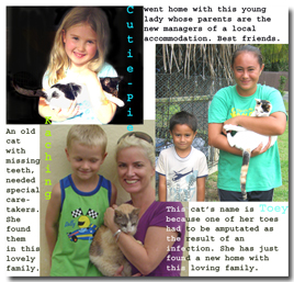 Kitty Collage