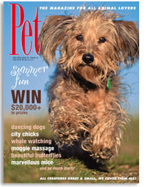 Pet Mag cover
