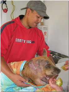 piggy with owner