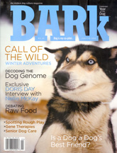 Bark