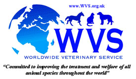 wvvs logo