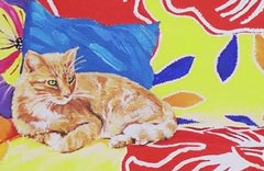contented cat