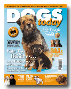 Dogs today cover