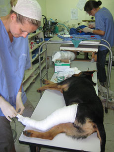 leg surgury