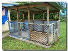 Puppy pen tiny