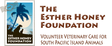 The Esther Honey Foundation