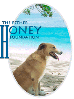 esterhoneylogo Honey logo